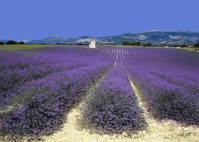 Les Restanques De Beaudine Dom wakacyjny Forcalquier